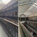 Arcade Providence Micro Apartments, Providence Arcade, Shopping Mall Renovation, adaptive reuse, tiny homes, micro apartments