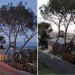 BIG and small House, Anonymous Architects, los angeles, tiny house, small house, daylighting, small space living