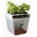 Back To The Roots, Aquaponics kit, aquaponics tank, herbs, fish tank, back to the roots fish tank