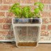Back To The Roots, Aquaponics kit, aquaponics tank, herbs, fish tank, back to the roots fish tank