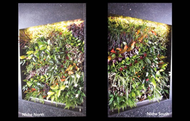 vertical gardens technology, vertical gardens technology llc, vertical gardens, vertical gardens nyc, nyc green wall, green wall, vertical gardens in new york, green new york, green nyc, nyc green art