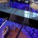 Wine Cellar, LED, Tennessee, Interior Design, Jamie Beckwith, Beckwith Interiors, wine, lighting