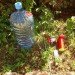 green design, eco design, sustainable design, bottle charger, cell phone charger, green energy cell phone charger, off the grid, sustainable energy, Blackbeard Unidirectional Constant Turbine, Nairobi, phone charging station