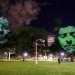 Craig Walsh, Hummanature, glowing faces, projection, Art, Botanical, Bright Ideas, projection on trees