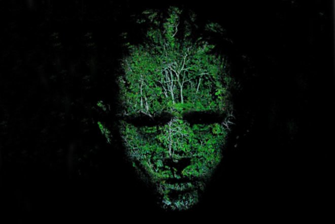 Craig Walsh, Hummanature, glowing faces, projection, Art, Botanical, Bright Ideas, projection on trees
