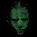 Craig Walsh, Hummanature, glowing faces, projection, Art, Botanical, Bright Ideas, projection on trees