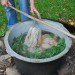 homesteader, prepper, prepping, preppers, homesteaders, homesteading, survivalist, survivalism, permaculture, sustainable permaculture, backyard chickens, bunker, goats, home industry, soapmaking, hoarding, paranoia