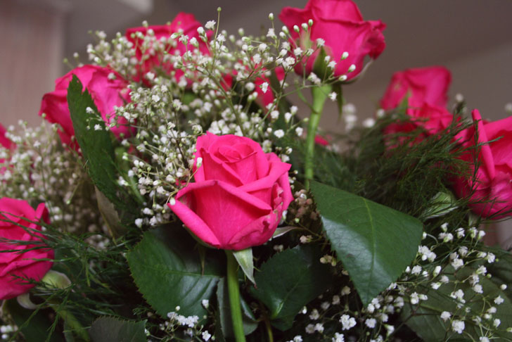 green design, eco design, sustainable design, ethical roses, pissedconsumer.com vladimir nardin, valentines day