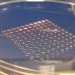 Heriot-Watt University’s Biomedical Microengineering group, Roslin Cellab, 3D bioprinting, 3d cell printing, 3d organ printing, 3D tissue, artificial tissue