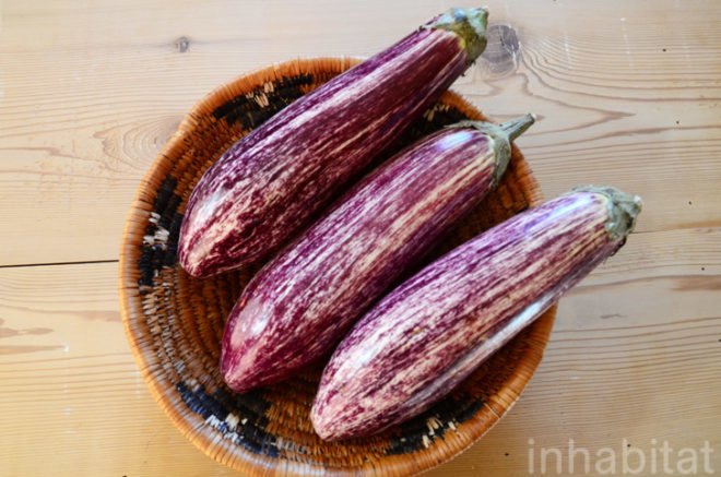 Organic recipe, sustainable food, eggplant, aubergine, baba ghanoush, Levant, Middle East, mediterranean food, recipe, vegan food, organic food,
