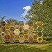 K-Abeilles Hotel for Bees, AtelierD, bee hotel, honeycomb pavilion, pavilion, bee hive, muttersholtz archi festival