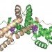 Lignin, bacteria, microbes, biofuels, Brown University, ethanol, algae, grasses, cellulose, alternative fuels,