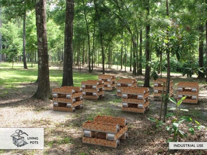 reader submitted content, recycled materials, wood waste, green design, sustainable design, eco-design, Living Pots, Design Nobis, recycled materials, reclaimed materials, agriculture