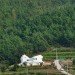 Net Zero Energy House, Lifethings, sosoljip, south korea, net zero, green home, self sufficient, affordable housing