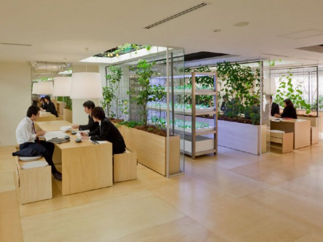 Pasona HQ, Kono Designs, vertical garden, urban farm, eco office, living wall, urban farming, green renovation