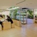 Pasona HQ, Kono Designs, vertical garden, urban farm, eco office, living wall, urban farming, green renovation