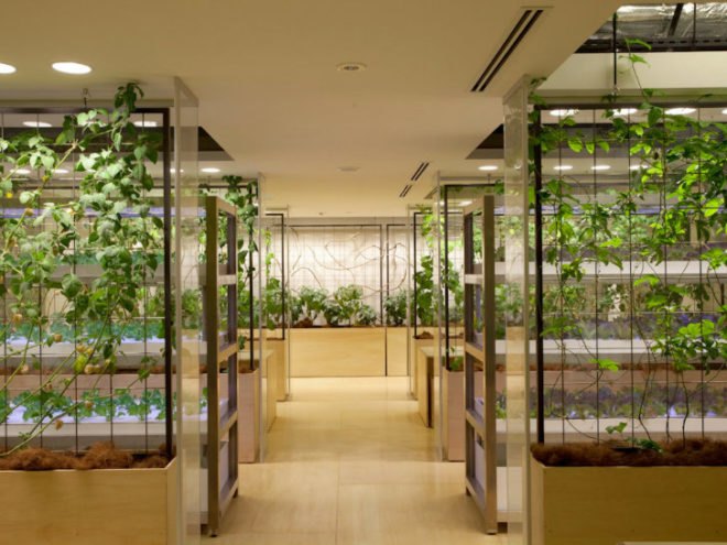Pasona HQ, Kono Designs, vertical garden, urban farm, eco office, living wall, urban farming, green renovation