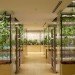 Pasona HQ, Kono Designs, vertical garden, urban farm, eco office, living wall, urban farming, green renovation