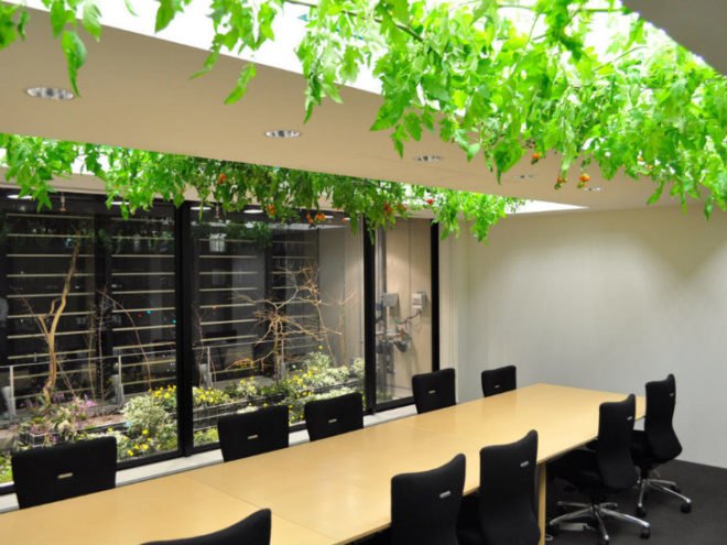 Pasona HQ, Kono Designs, vertical garden, urban farm, eco office, living wall, urban farming, green renovation