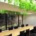 Pasona HQ, Kono Designs, vertical garden, urban farm, eco office, living wall, urban farming, green renovation