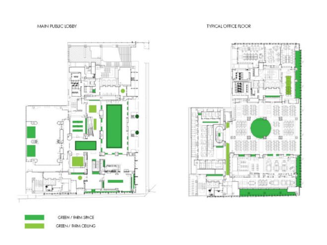 Pasona HQ, Kono Designs, vertical garden, urban farm, eco office, living wall, urban farming, green renovation