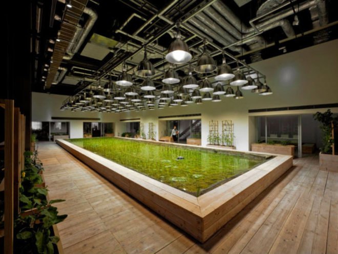 Pasona HQ, Kono Designs, vertical garden, urban farm, eco office, living wall, urban farming, green renovation