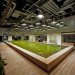 Pasona HQ, Kono Designs, vertical garden, urban farm, eco office, living wall, urban farming, green renovation
