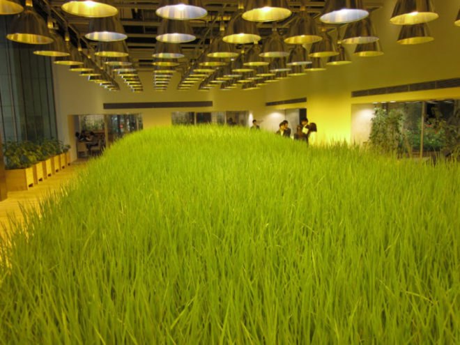 Pasona HQ, Kono Designs, vertical garden, urban farm, eco office, living wall, urban farming, green renovation