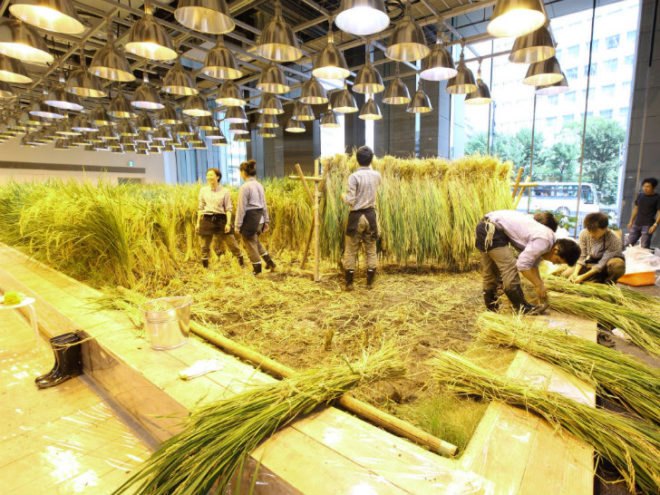 Pasona HQ, Kono Designs, vertical garden, urban farm, eco office, living wall, urban farming, green renovation