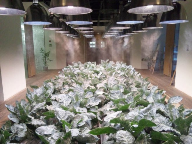 Pasona HQ, Kono Designs, vertical garden, urban farm, eco office, living wall, urban farming, green renovation