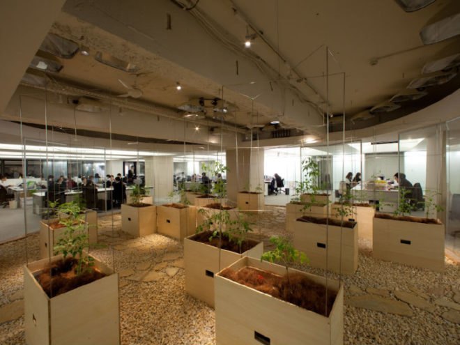 Pasona HQ, Kono Designs, vertical garden, urban farm, eco office, living wall, urban farming, green renovation