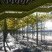 Richard Rogers, New Law Courts, spiky, icon, Antwerp, pre-cast concrete, natural light, slow ventilation, VK Studio, Air quality, Architecture, Water Issues, energy efficiency, Daylighting,