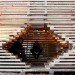 Rintala Eggertsson, MILU, Venice architecture Biennale, wood, site-specific habitable sculpture, Architecture, Art, Green Materials