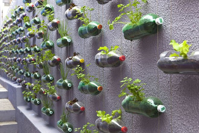 green design, eco design, sustainable design, Sao Paolo, vertical gardens, recycled bottle garden, Luciano Huck, Home Sweet Home, Rosenbaum firm, upcycled vertical garden, plastic bottle vertical garden