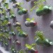 green design, eco design, sustainable design, Sao Paolo, vertical gardens, recycled bottle garden, Luciano Huck, Home Sweet Home, Rosenbaum firm, upcycled vertical garden, plastic bottle vertical garden
