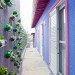 green design, eco design, sustainable design, Sao Paolo, vertical gardens, recycled bottle garden, Luciano Huck, Home Sweet Home, Rosenbaum firm, upcycled vertical garden, plastic bottle vertical garden