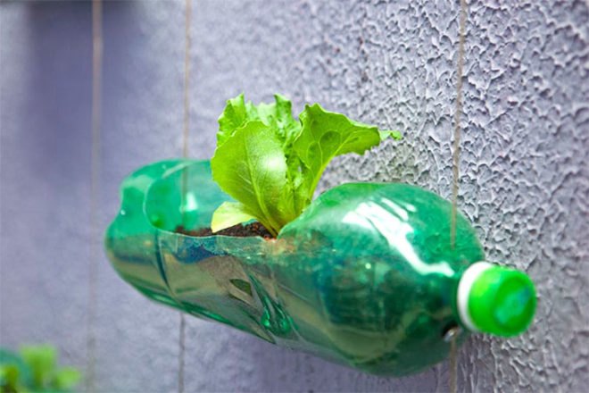 green design, eco design, sustainable design, Sao Paolo, vertical gardens, recycled bottle garden, Luciano Huck, Home Sweet Home, Rosenbaum firm, upcycled vertical garden, plastic bottle vertical garden
