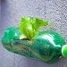 green design, eco design, sustainable design, Sao Paolo, vertical gardens, recycled bottle garden, Luciano Huck, Home Sweet Home, Rosenbaum firm, upcycled vertical garden, plastic bottle vertical garden