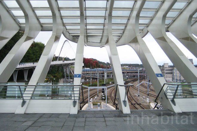 Santiago Calatrava, Liège-Guillemins Train Station, tgv rail station, Belgium, Liège, high-speed rail, high speed rail station, high speed rail, calatrava, Architecture, Air quality, Green Lighting, Daylighting,