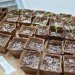 homesteader, prepper, prepping, preppers, homesteaders, homesteading, survivalist, survivalism, permaculture, sustainable permaculture, backyard chickens, bunker, goats, home industry, soapmaking, hoarding, paranoia
