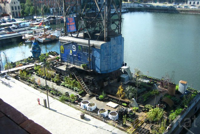 Time Circus, Welvaert, Antwerp, floating garden, vegetable garden, MAS Museum, Botanical, Eco Travel, Treehouses, Recycling / Compost, Green renovation, Gardening, Floating Houses,
