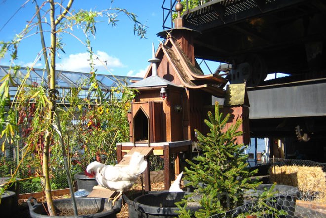 Time Circus, Welvaert, Antwerp, floating garden, vegetable garden, MAS Museum, Botanical, Eco Travel, Treehouses, Recycling / Compost, Green renovation, Gardening, Floating Houses,