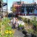 Time Circus, Welvaert, Antwerp, floating garden, vegetable garden, MAS Museum, Botanical, Eco Travel, Treehouses, Recycling / Compost, Green renovation, Gardening, Floating Houses,