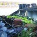 Time Circus, Welvaert, Antwerp, floating garden, vegetable garden, MAS Museum, Botanical, Eco Travel, Treehouses, Recycling / Compost, Green renovation, Gardening, Floating Houses,