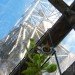 Time Circus, Welvaert, Antwerp, floating garden, vegetable garden, MAS Museum, Botanical, Eco Travel, Treehouses, Recycling / Compost, Green renovation, Gardening, Floating Houses,