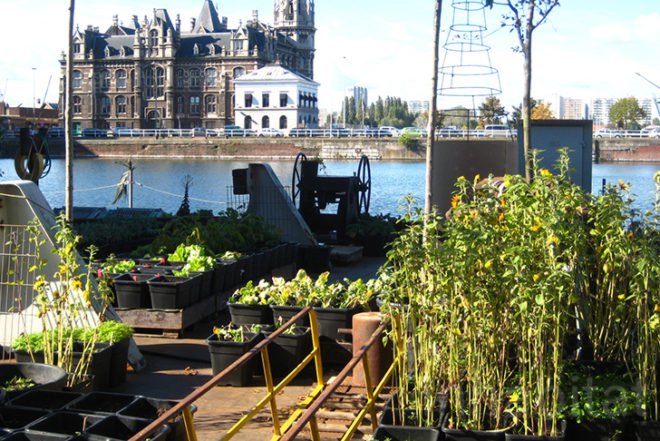 Time Circus, Welvaert, Antwerp, floating garden, vegetable garden, MAS Museum, Botanical, Eco Travel, Treehouses, Recycling / Compost, Green renovation, Gardening, Floating Houses,
