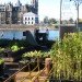 Time Circus, Welvaert, Antwerp, floating garden, vegetable garden, MAS Museum, Botanical, Eco Travel, Treehouses, Recycling / Compost, Green renovation, Gardening, Floating Houses,