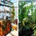 Time Circus, Welvaert, Antwerp, floating garden, vegetable garden, MAS Museum, Botanical, Eco Travel, Treehouses, Recycling / Compost, Green renovation, Gardening, Floating Houses,