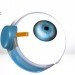 argus ii, electrodes, second sight medical products, bionic eye, retinitis pigmentosa, sight, implant, eye