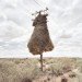 photography, art, eco-art, weaver's nests, nature knows best, climate controlled nests, africa, kalahari desert, sociable weavers, Dillon Marsh, environment, travel, nature, birds, adaptation, assimilation, africa, southern africa